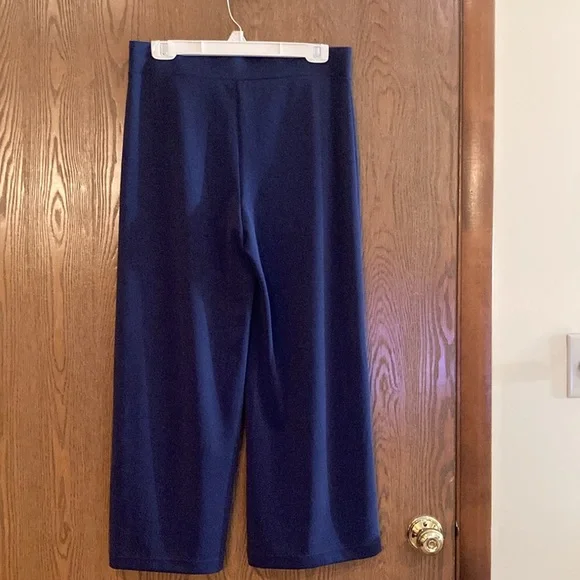 NWOT - Loft Cropped Wide-Leg Pants - Picture 3 of 5